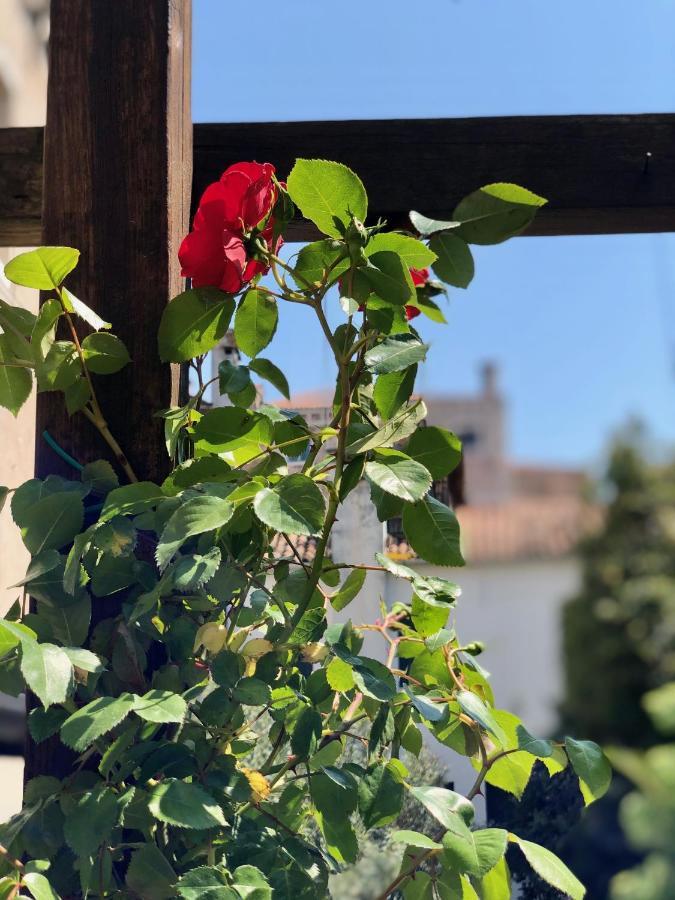 B&B Patatina Venice Ngoại thất bức ảnh